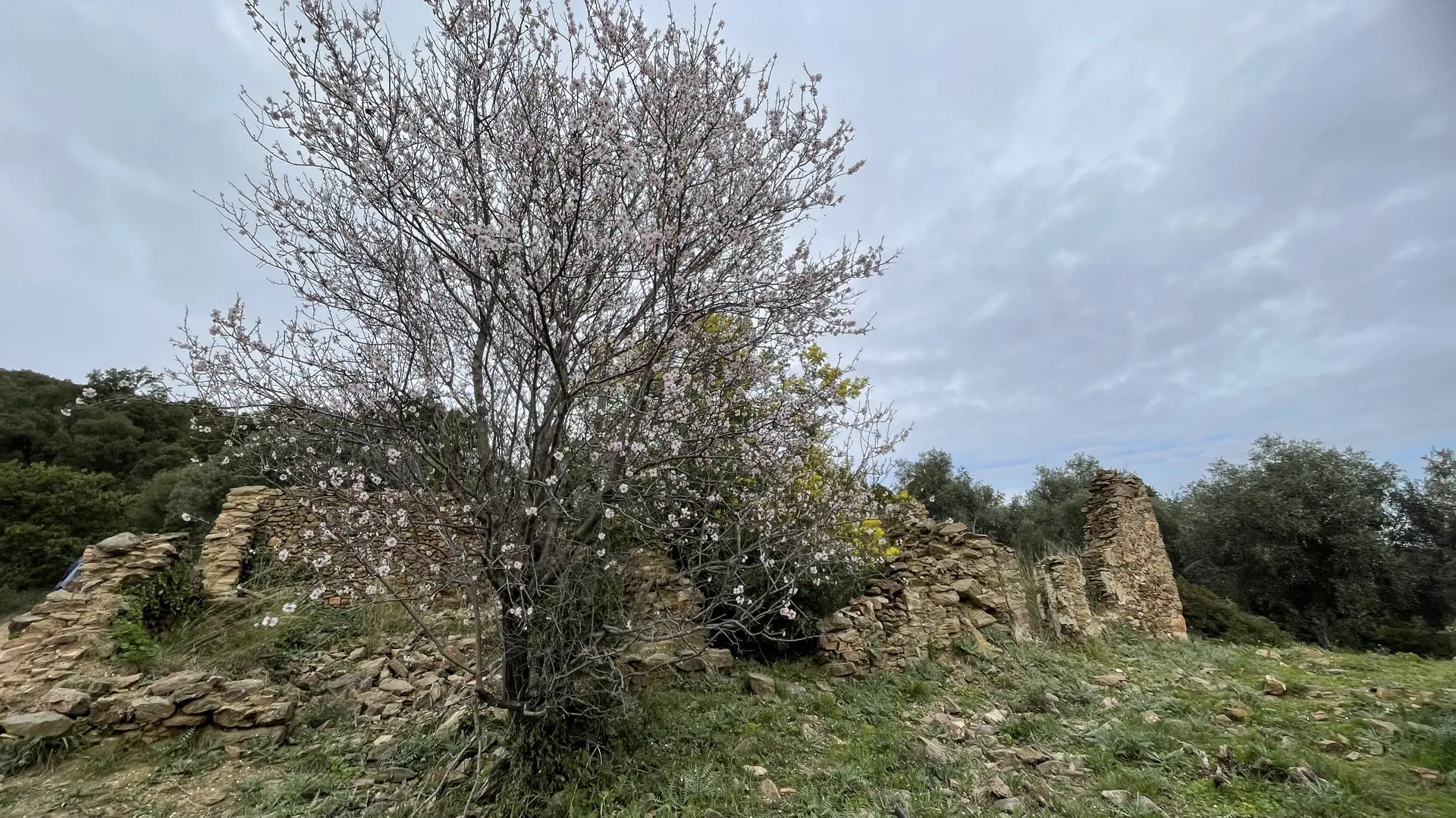 Ruines Roqueyrol