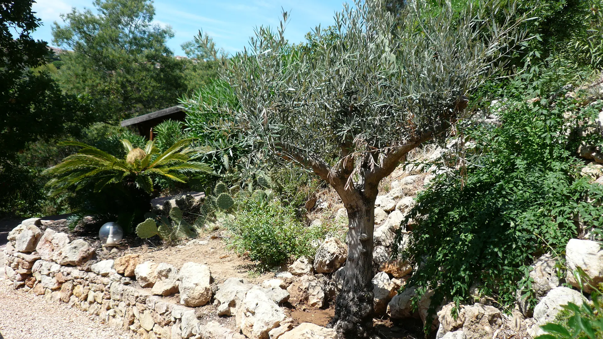 Jardin méditerranéen