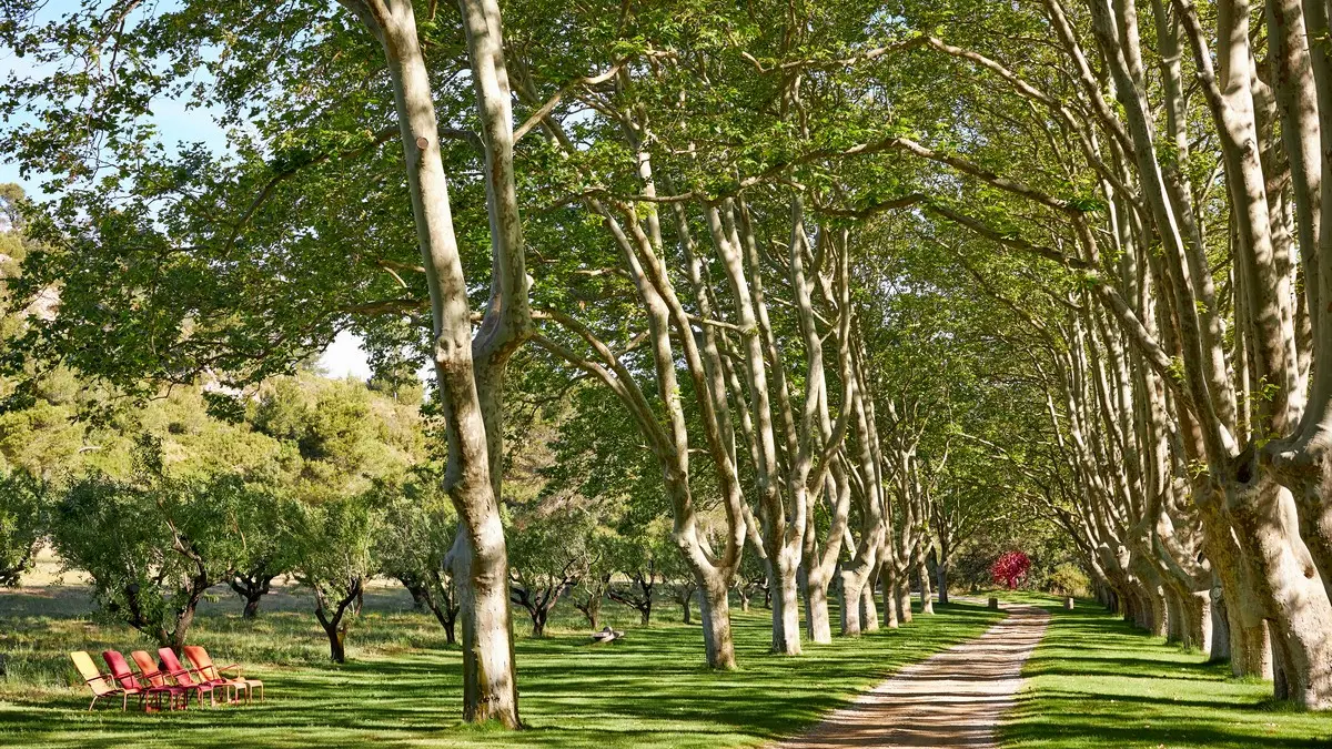 Abbaye de Pierredon à Mouriès