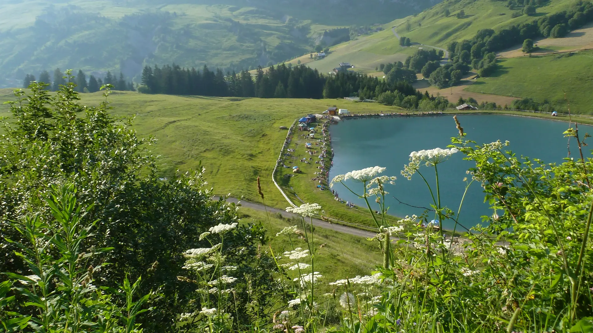 Le lac de la cour