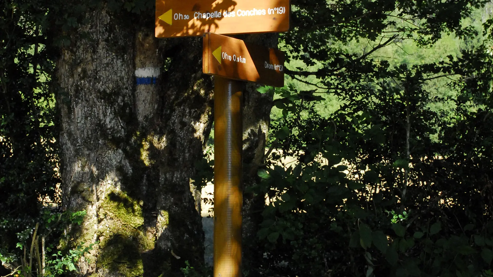 Randonnée Les Conches