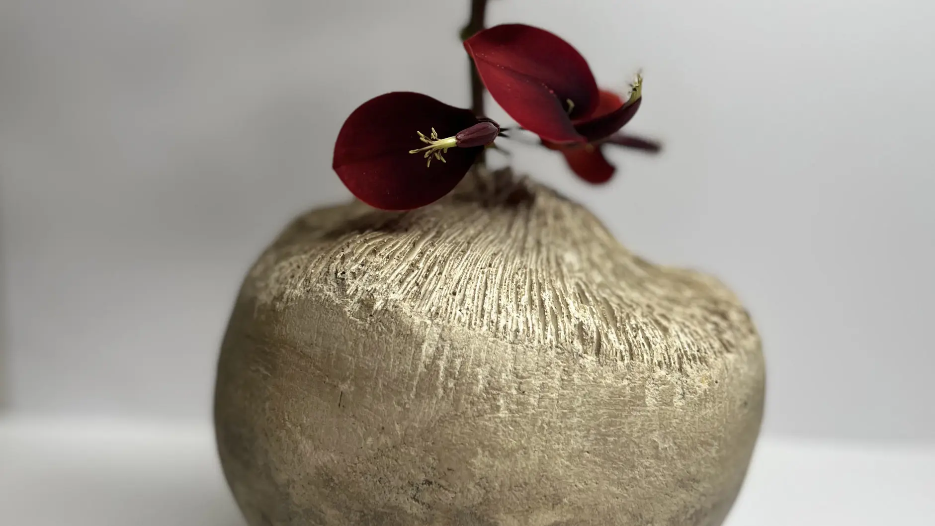 Leandro Marinella Poterie Design