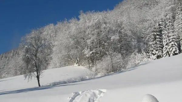 PISTE DE LUGE DEVANT LE GITE