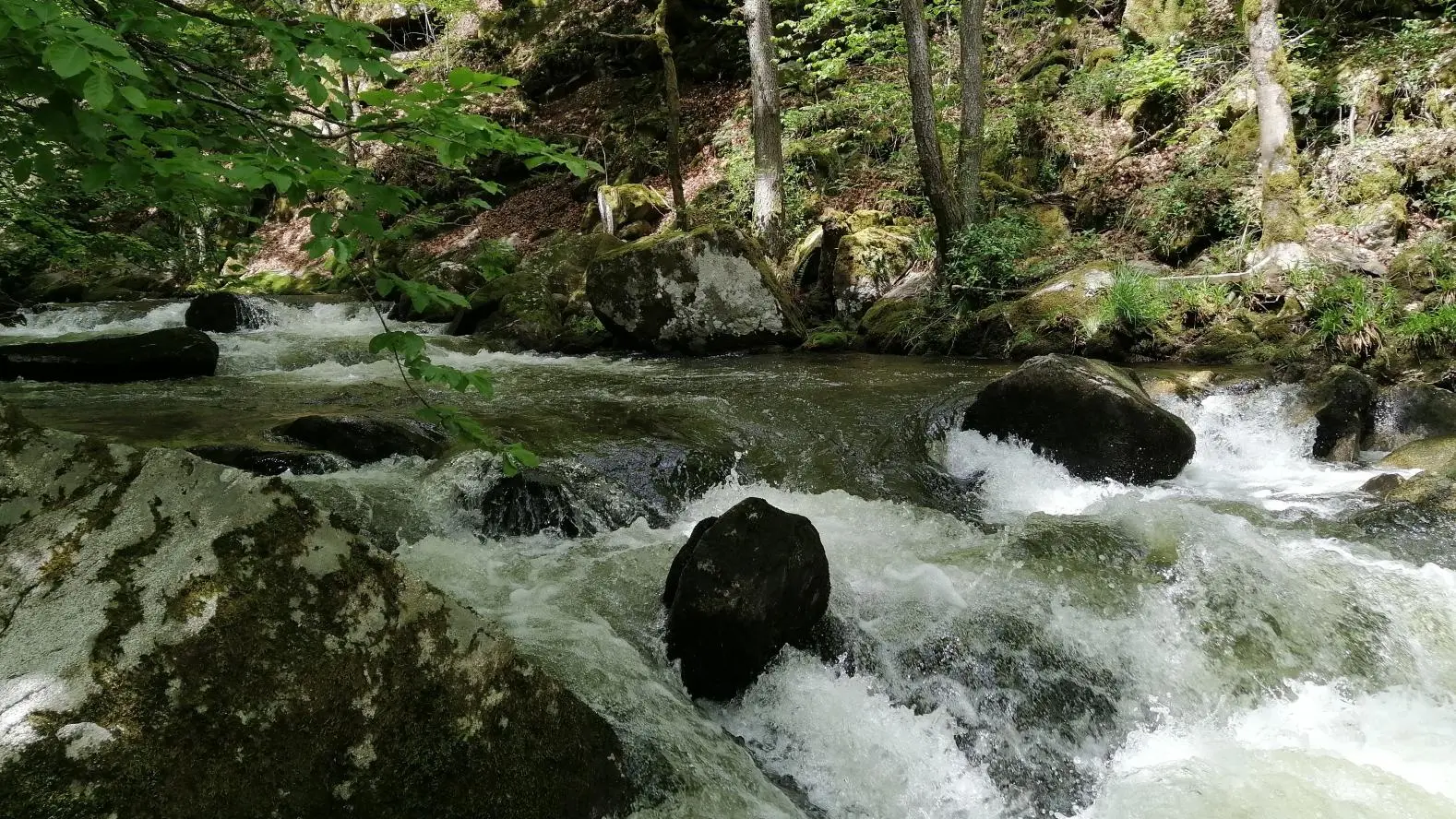 Rivière à 2 km du gîte