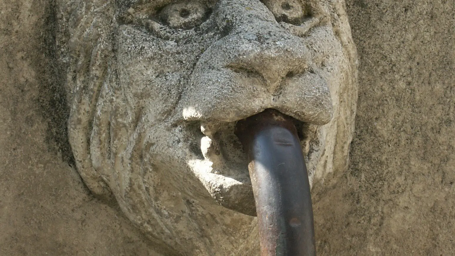 Détail fontaine nord