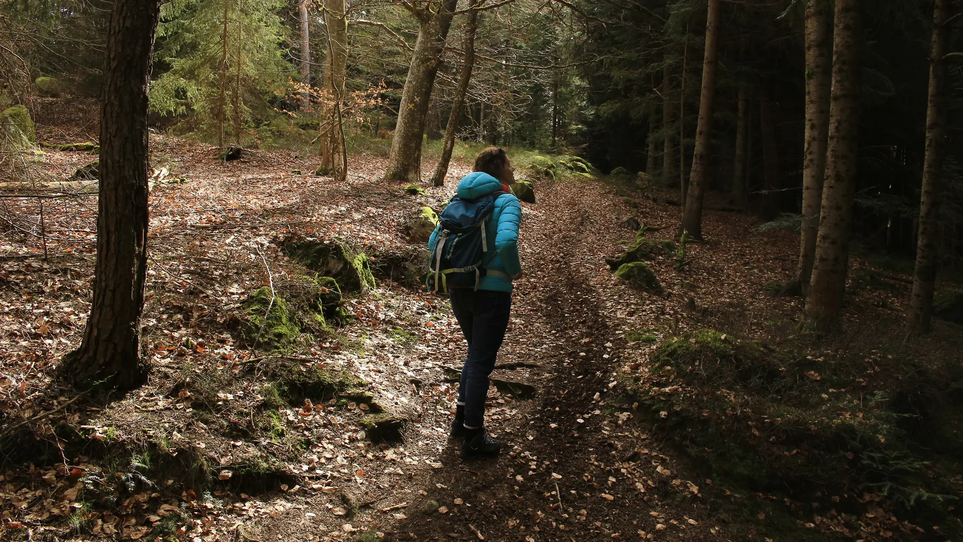 St-Hilaire-Cusson-la Valmitte