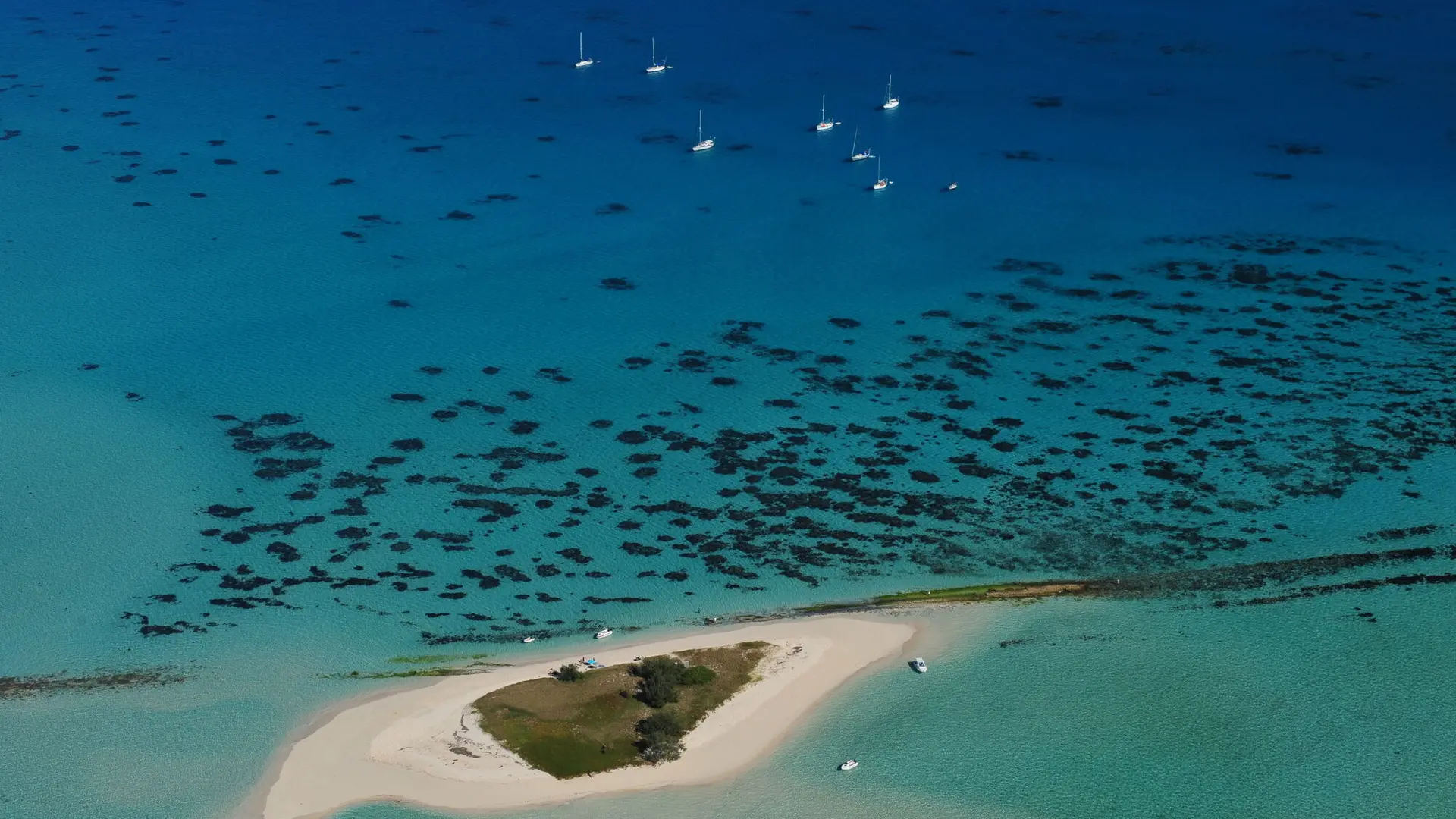 Goéland islet on the Noumea lagoon