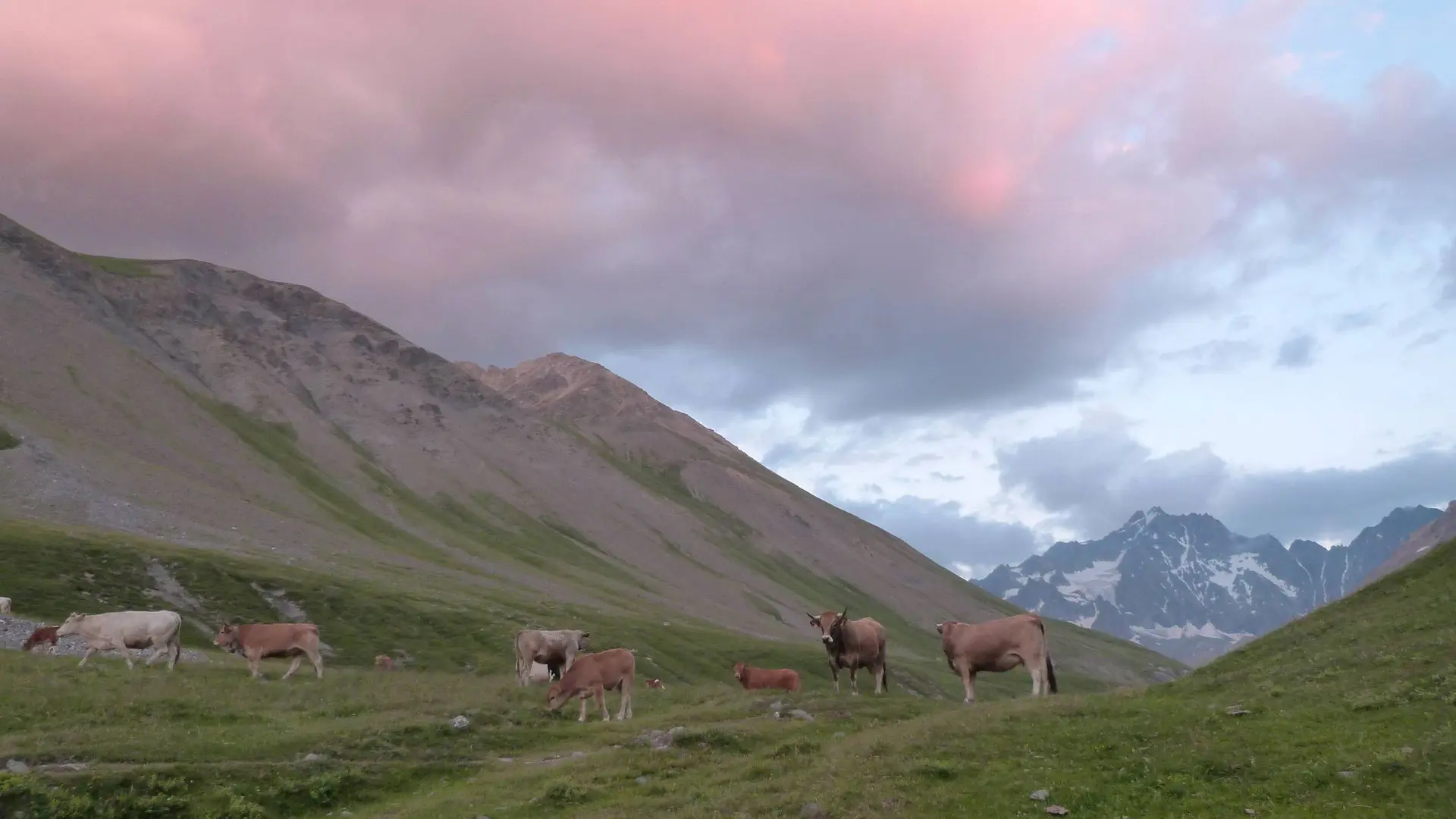 Au coucher du soleil