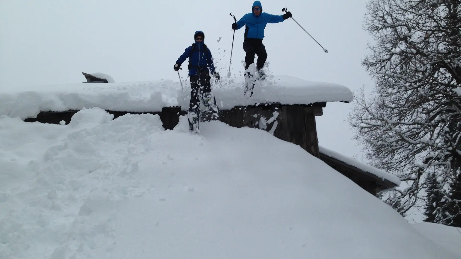 Freeride