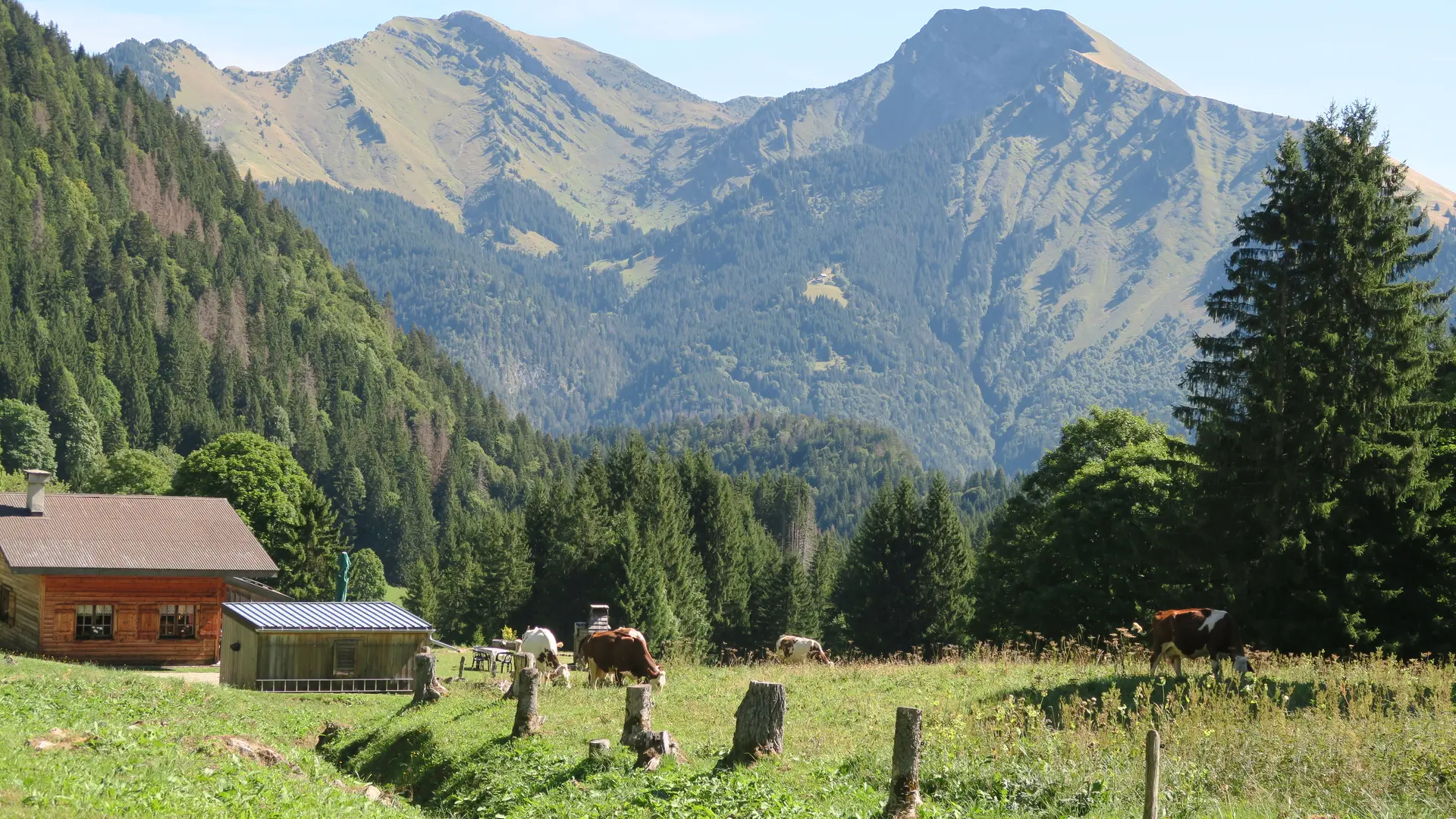 Vue sur les montagnes quand on entame la descente de Graydon