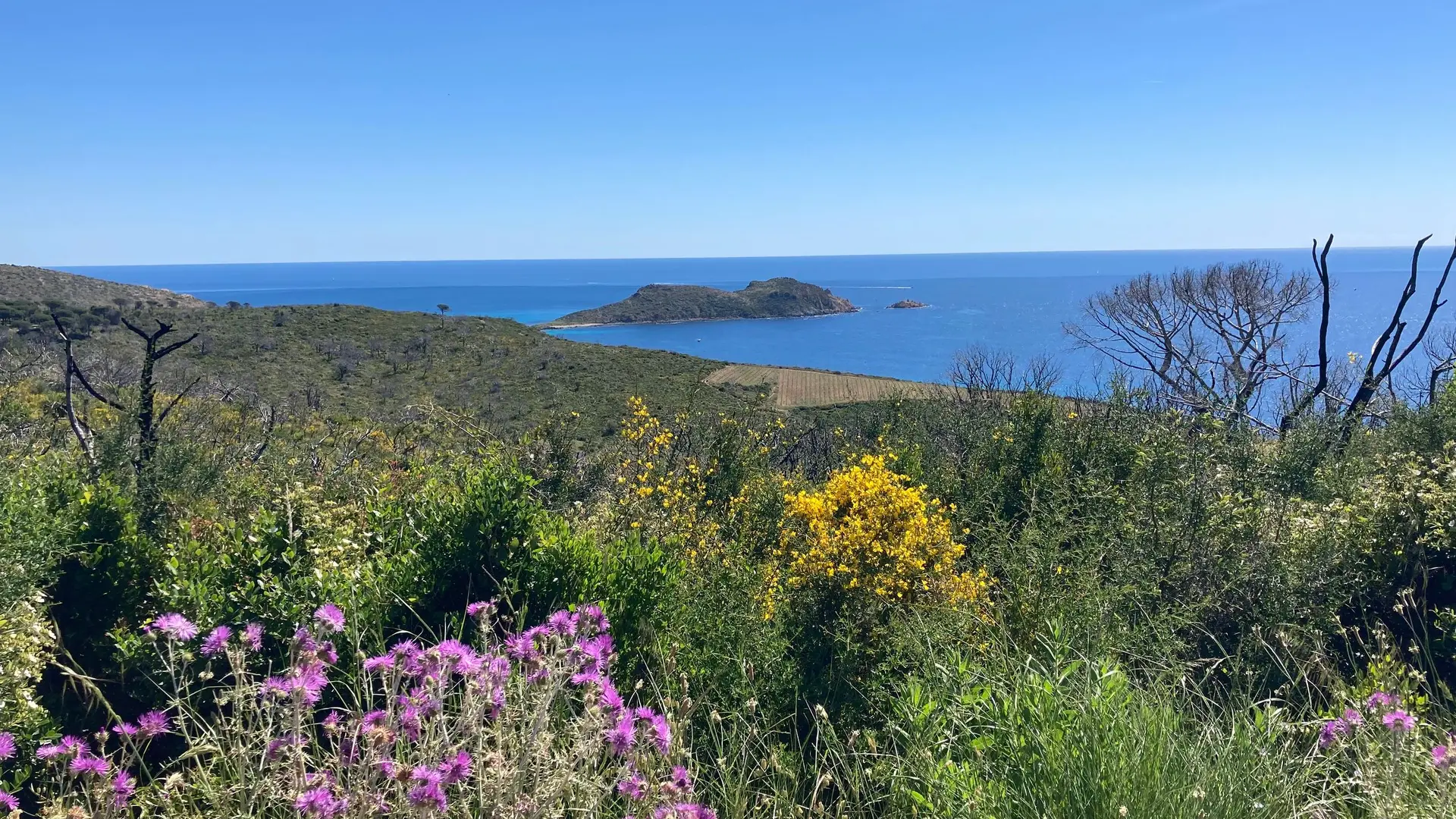 Vue sur le Cap Taillat