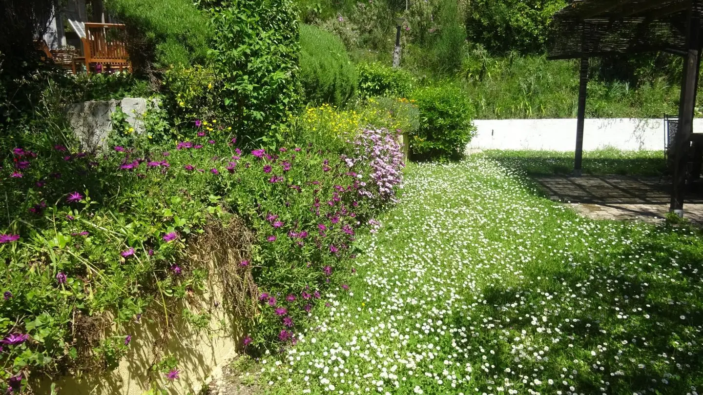 Gîte Le Dionel-Espaces extérieurs-Colomars-Gîtes de France des Alpes-Maritimes