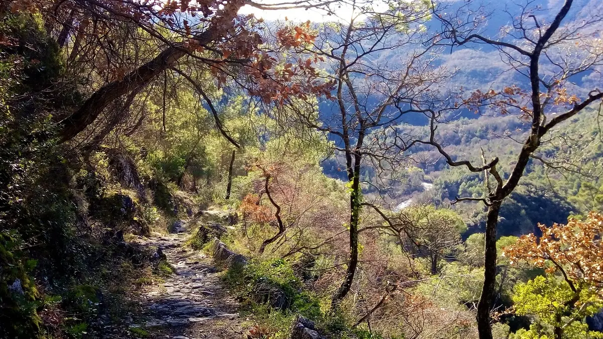 Parc des Préalpes d'Azur