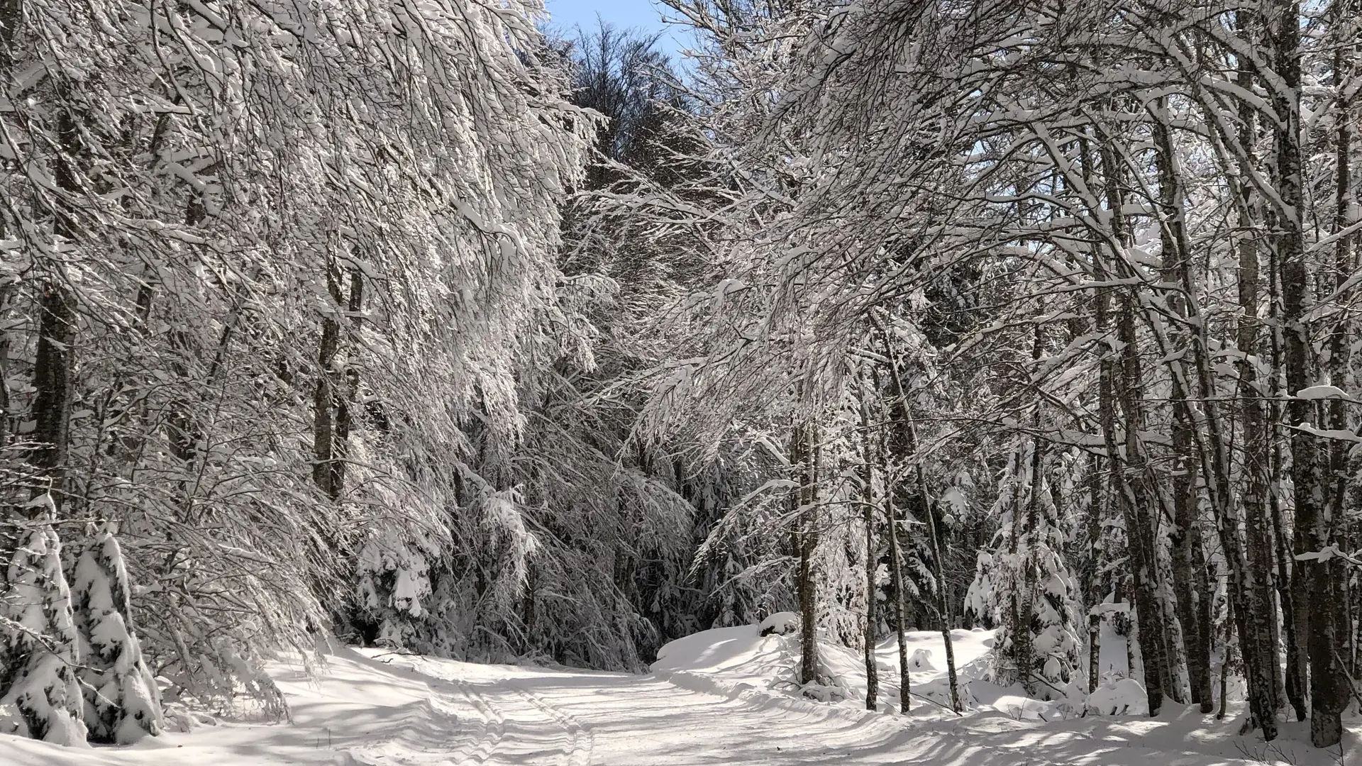 Ski nordique sur le Site de Lachat_Haut Valromey