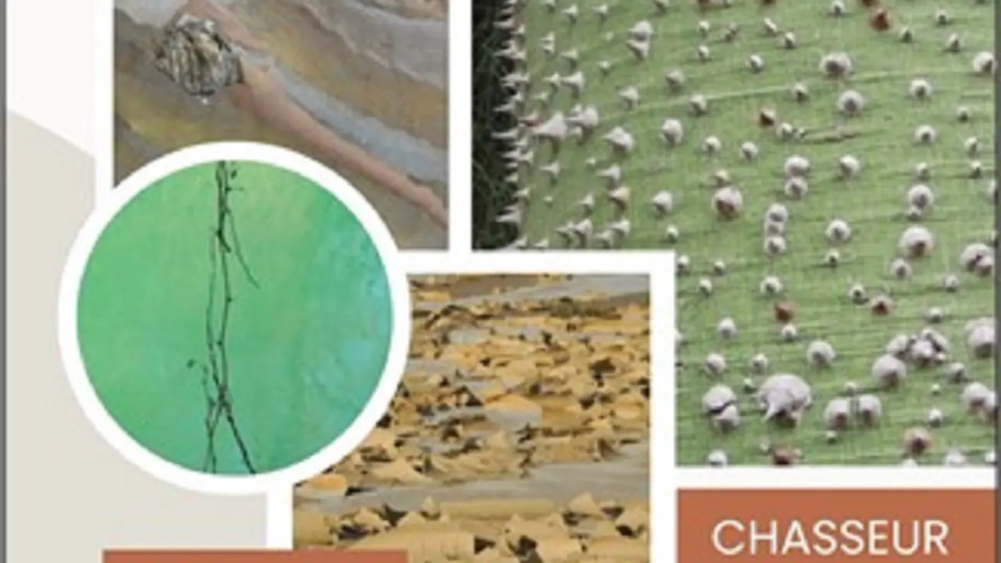 Atelier chasseur d'images