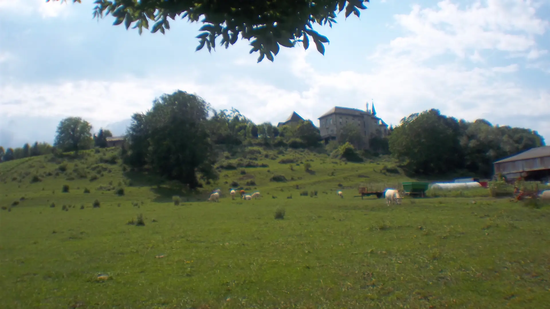 Aux fruits de la treille - Gîte vigne