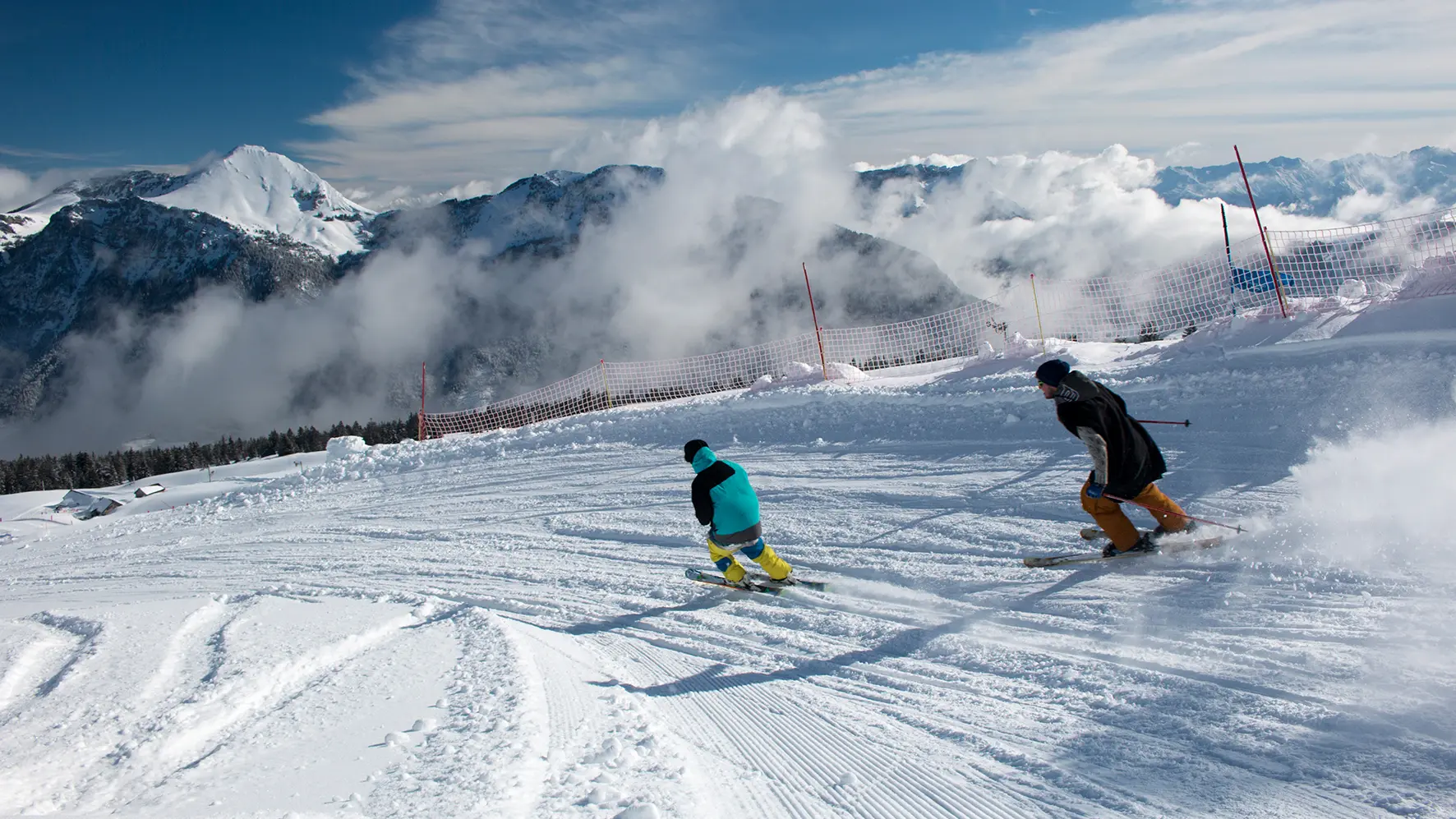 BoarderX de la Bergerie