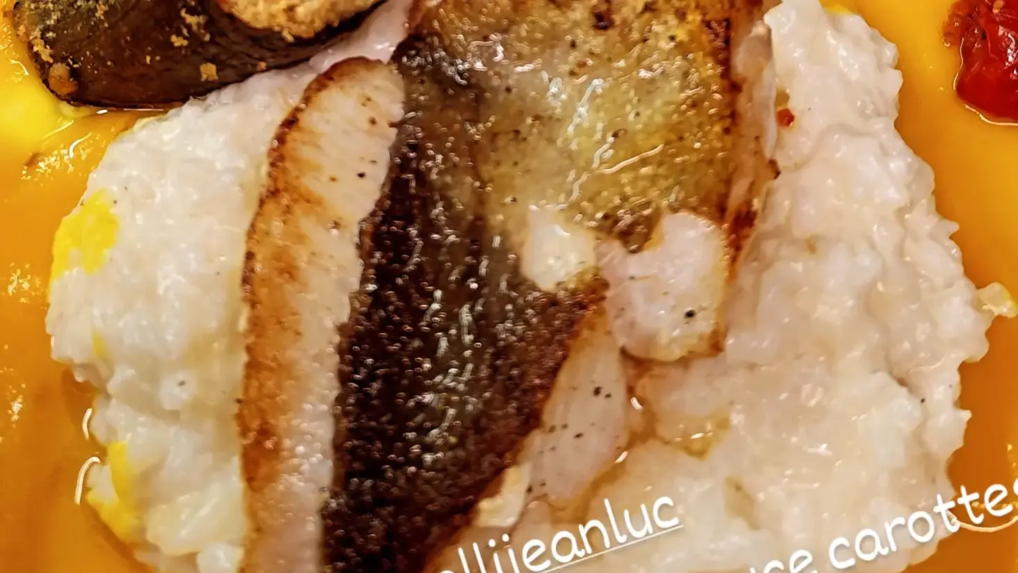 De la Terre au Vin_Bandol