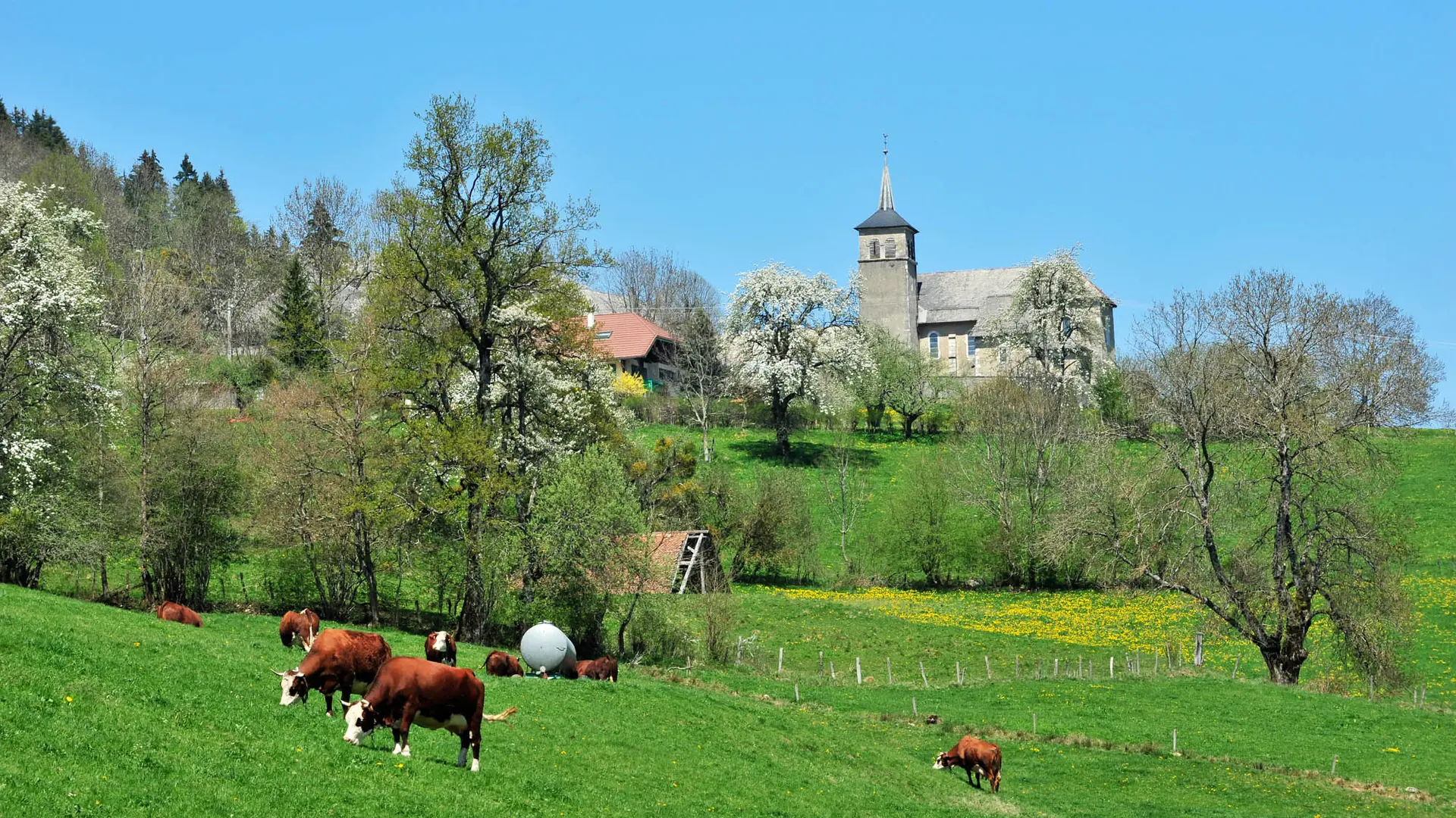 Col de Leschaux