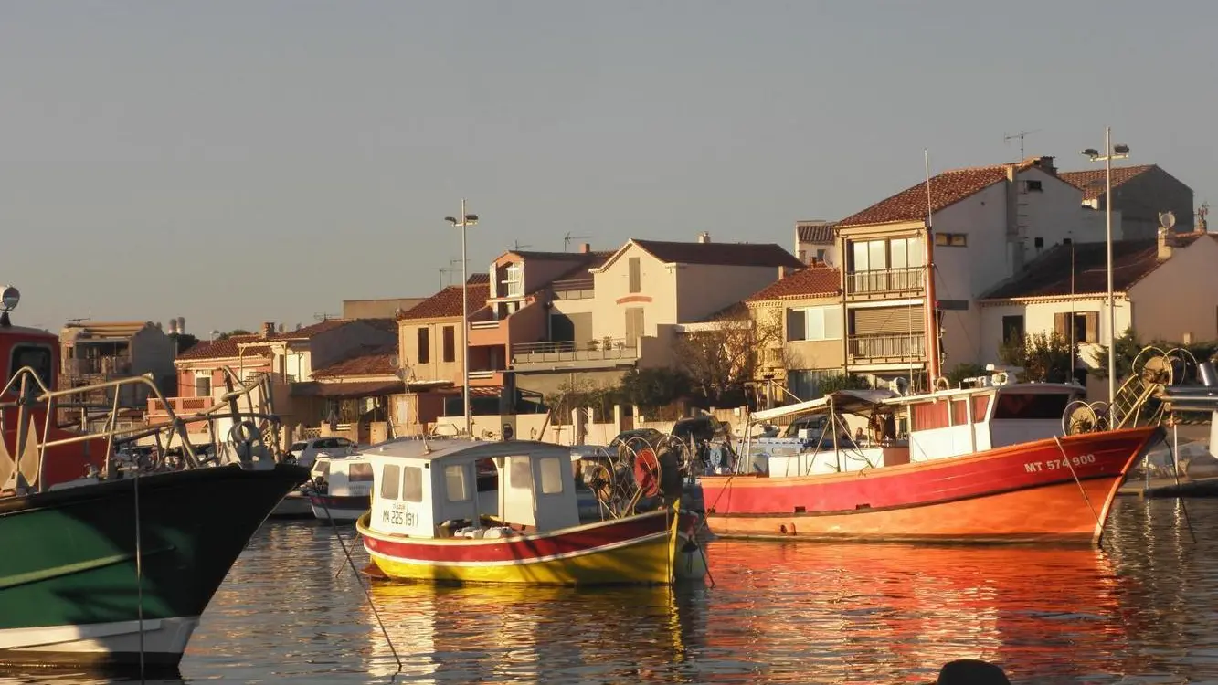 Bateaux de pêche (port de Carro)