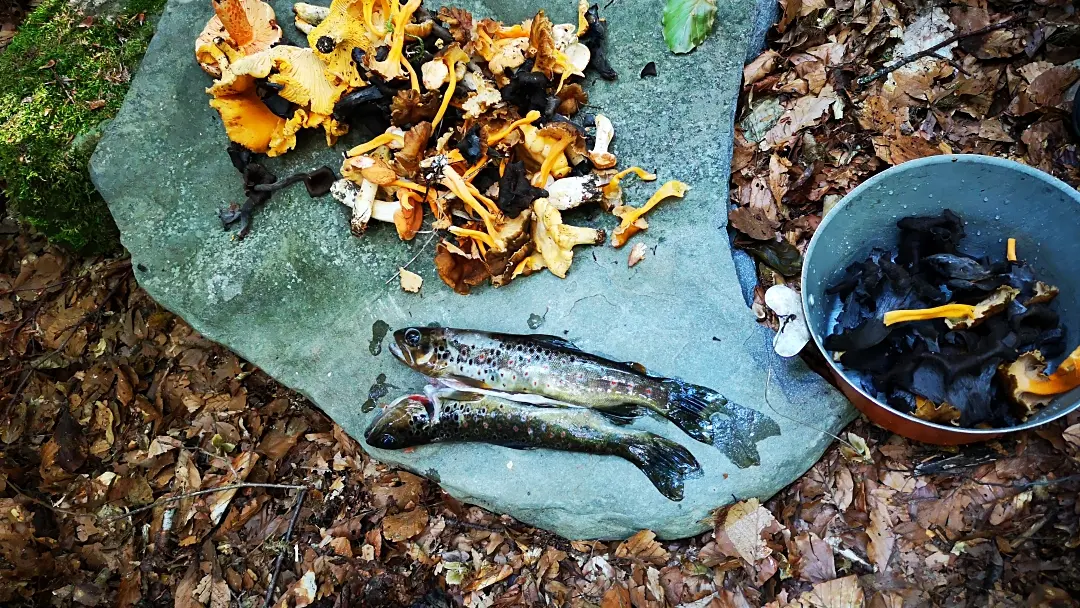 Stage de survie Mercantour