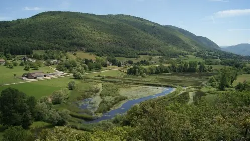 Lac de Millieu et marais du Vernay