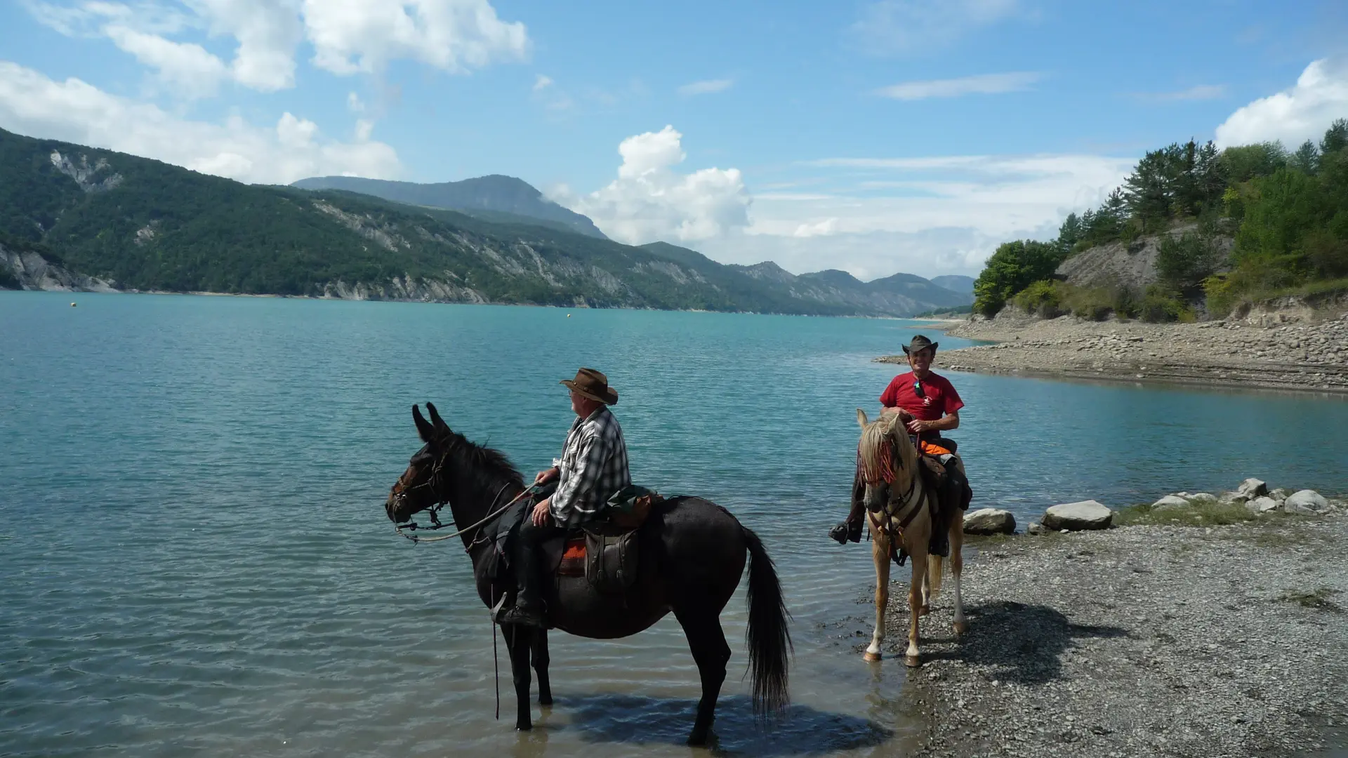 Aalpes Equitation