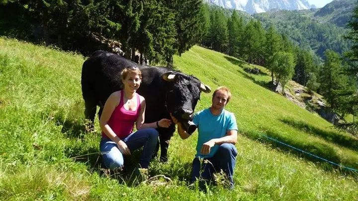 Alpage de Blaitière