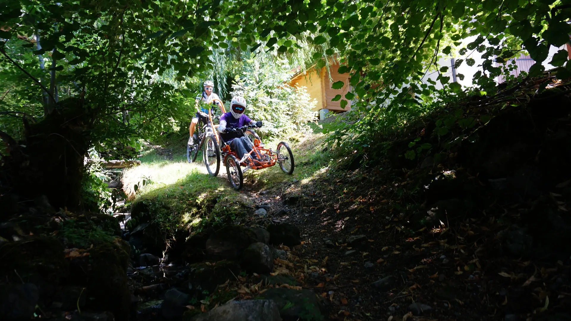 Fauteuil tout terrain de descente