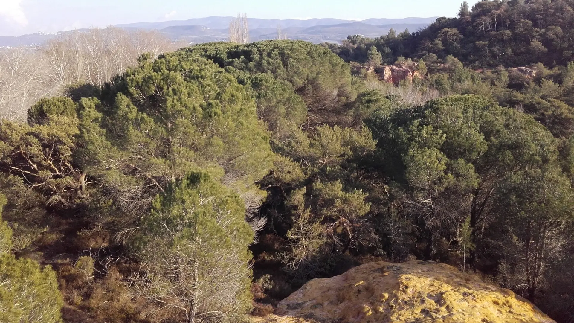 Bois de Saint Jean et Grand Luberon