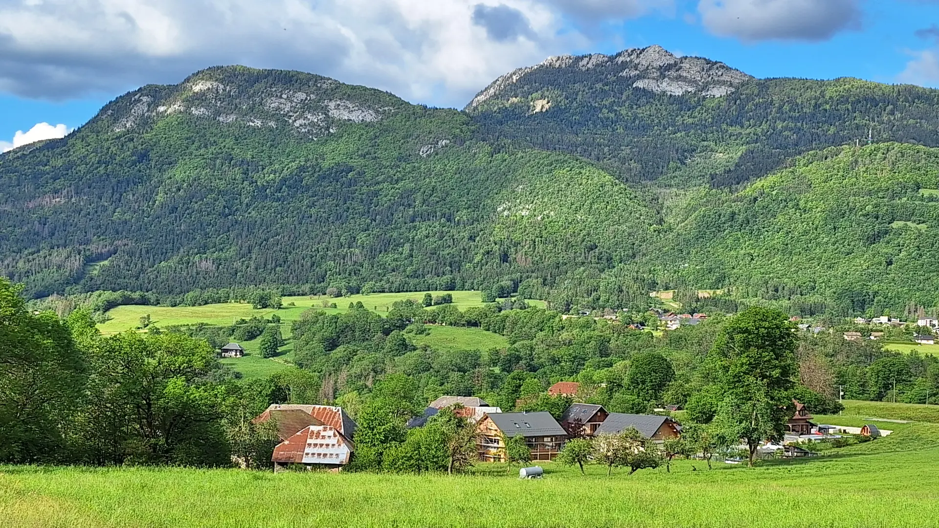 maisons nichées dans une nature verdoyante