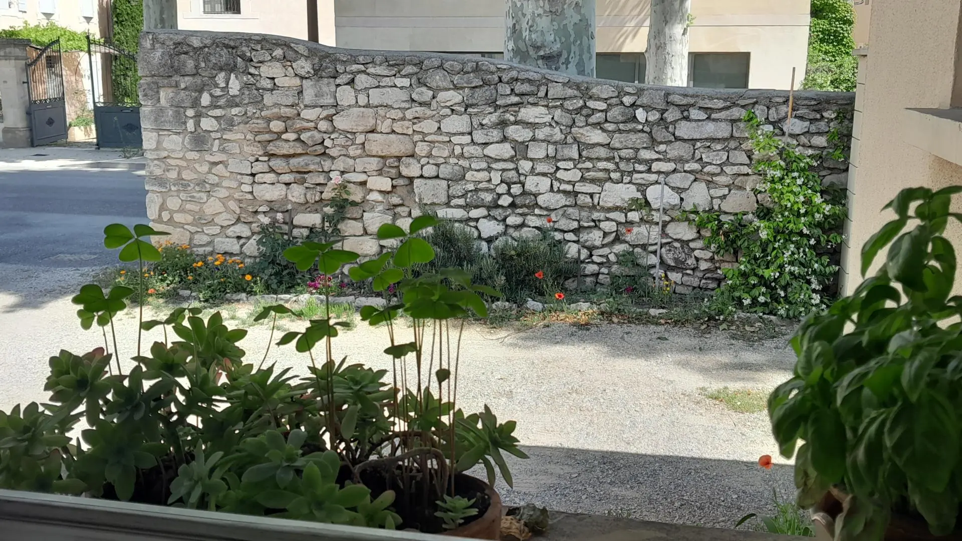 vue de la cuisine cote nord;  entrée