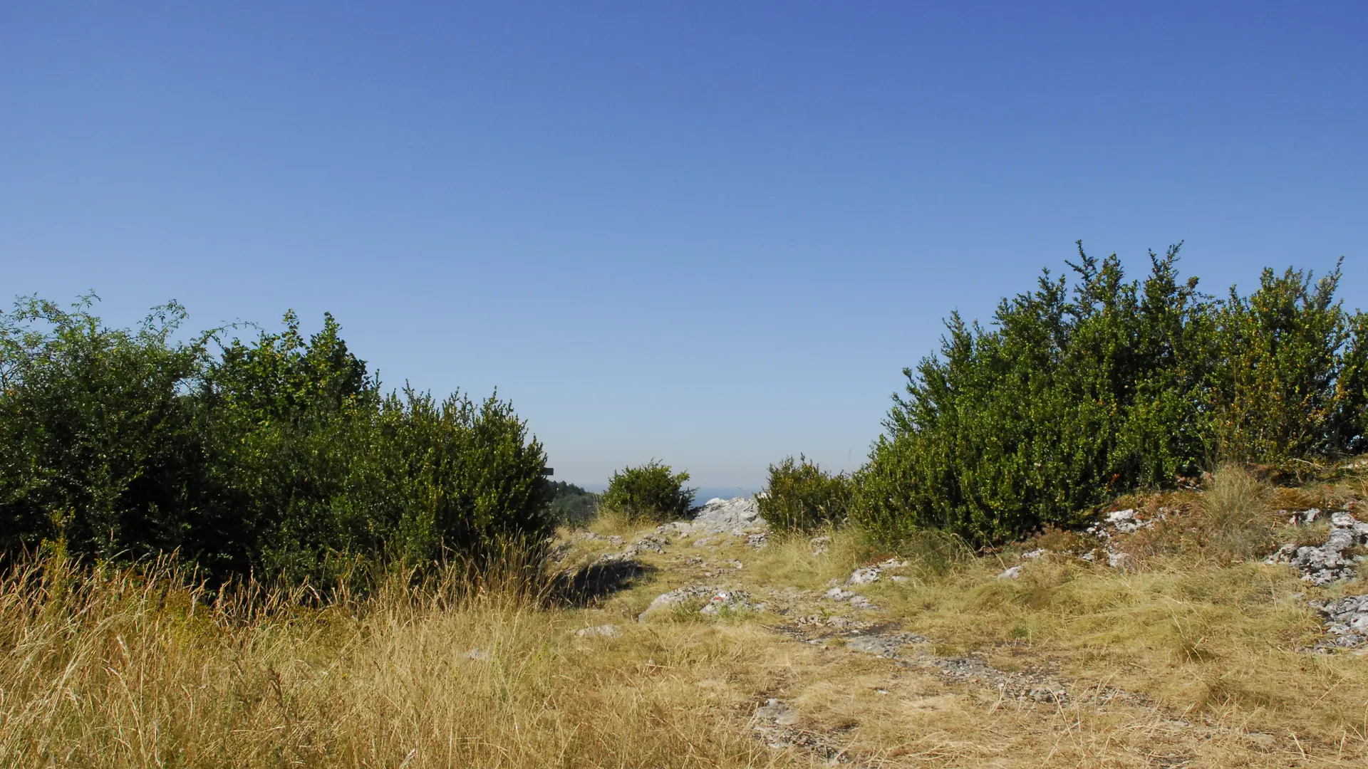 Randonnée Les Conches