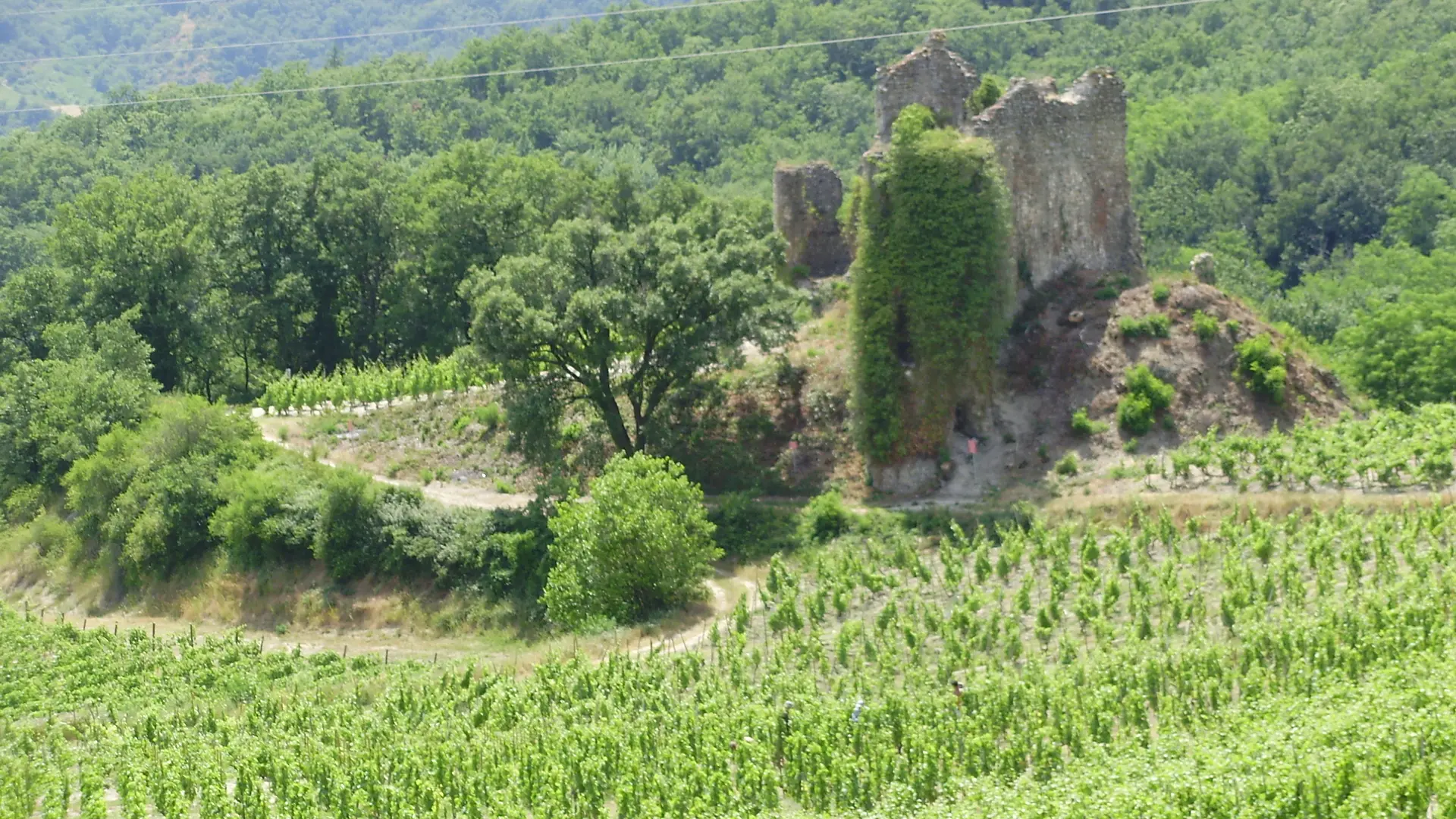 Vue du Belvédère des Méjeans