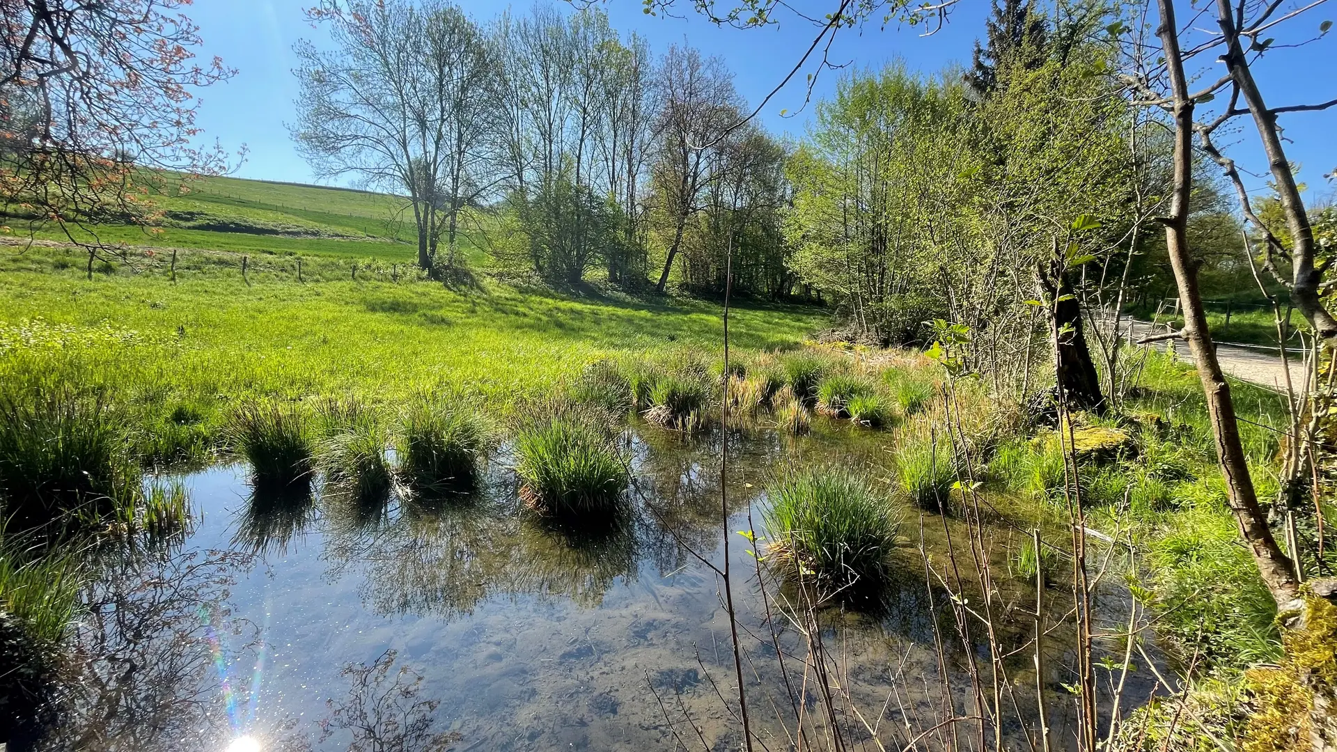Marais de Lesse et Mathonex