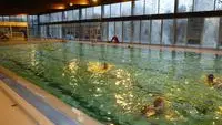 Piscine municipale