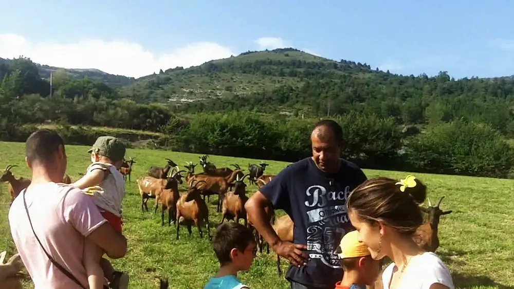 En balade avec le troupeau