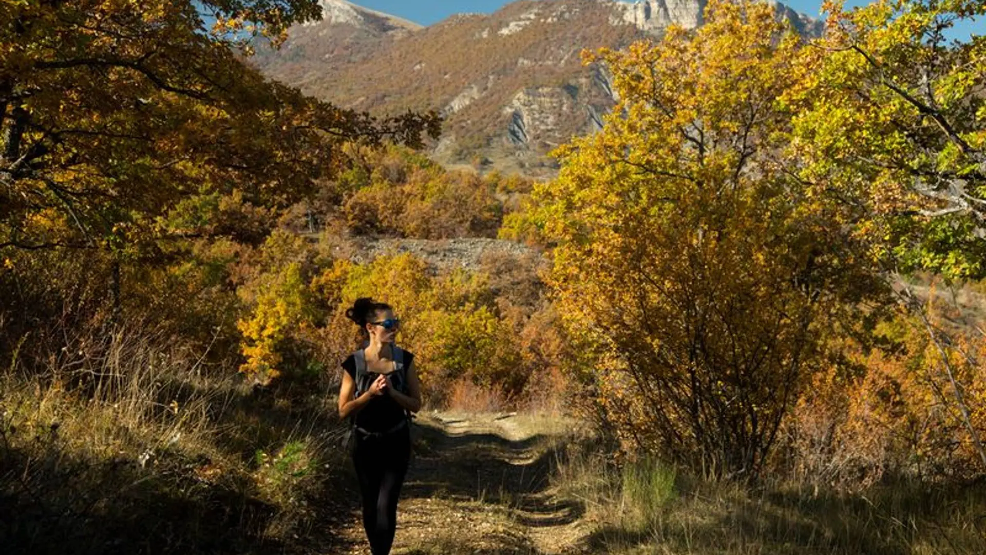 Sentier ombragé