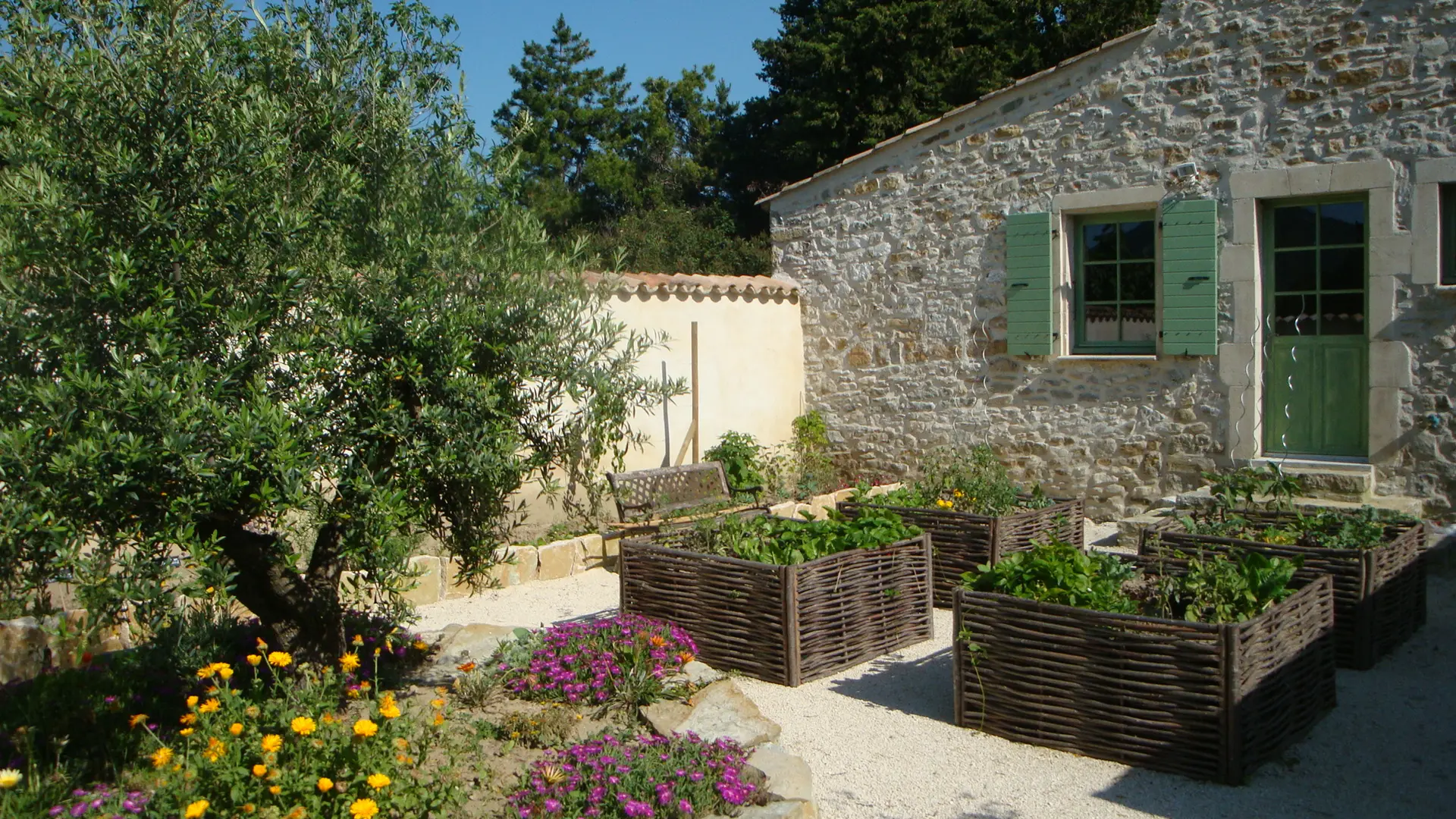 Le jardin aromathique