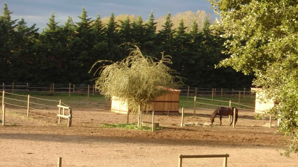 Centre Equestre Avignon