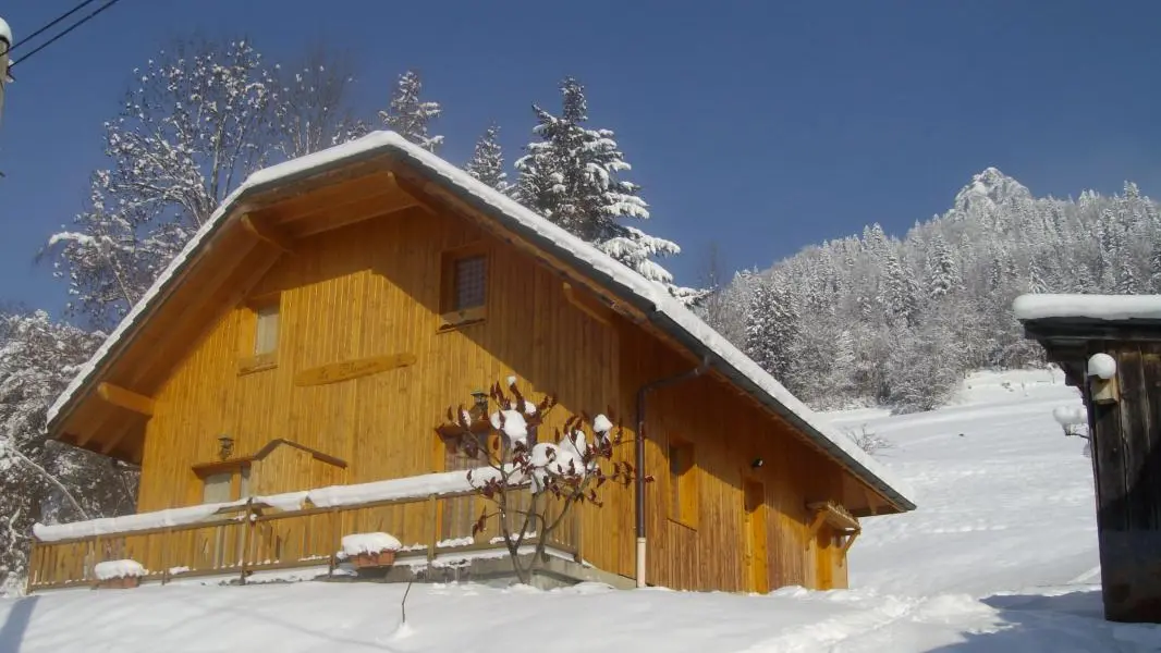 Sabot de Venus sous la neige.Depart de raquettes et luge derriere le chalet!