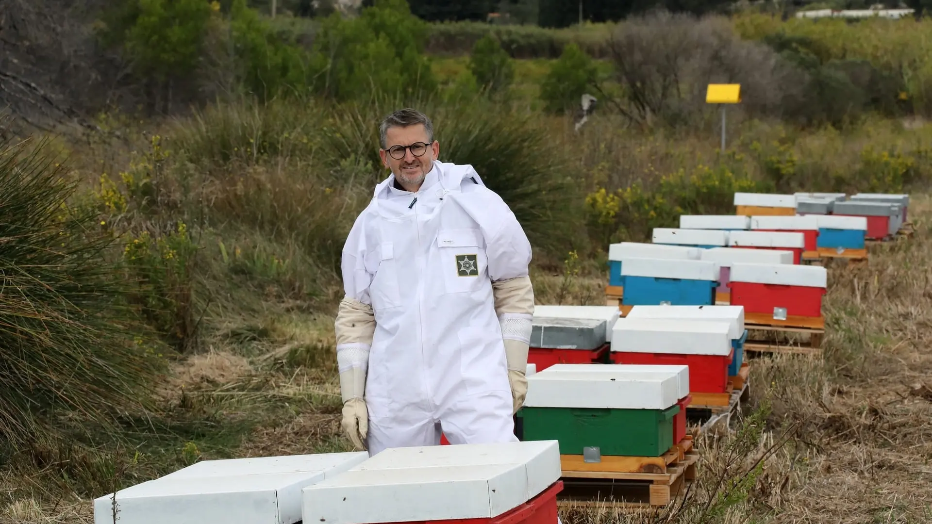 Beehives at Saint-Pierre-Les Martigues