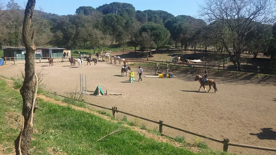 Centre équestre l'Étalon Papillon