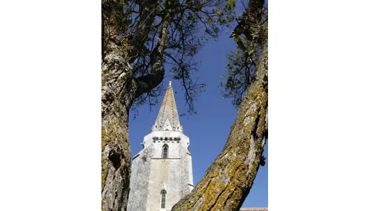 Clocher de Sainte-Marie