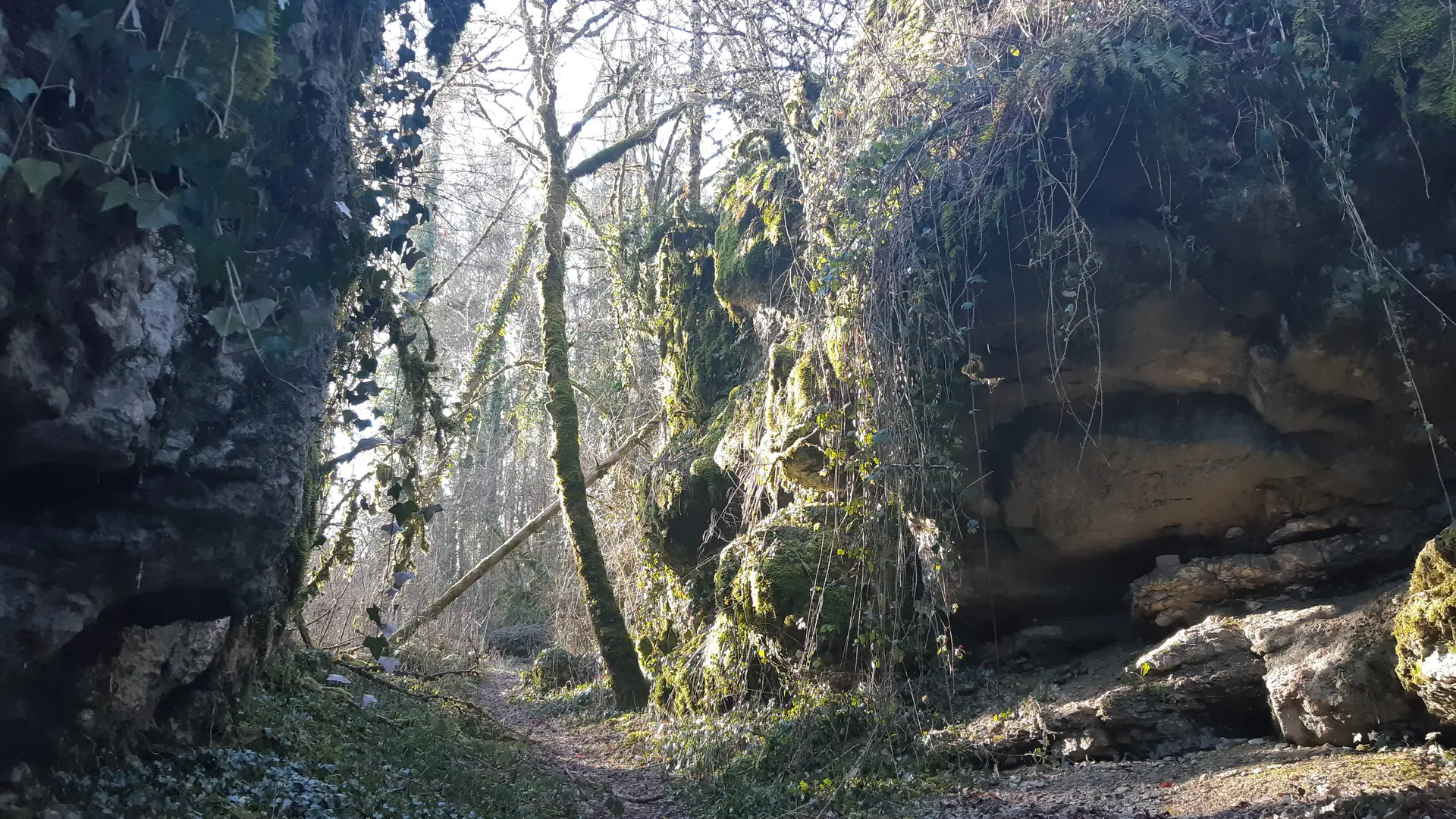 Ruines du château de Montdidier