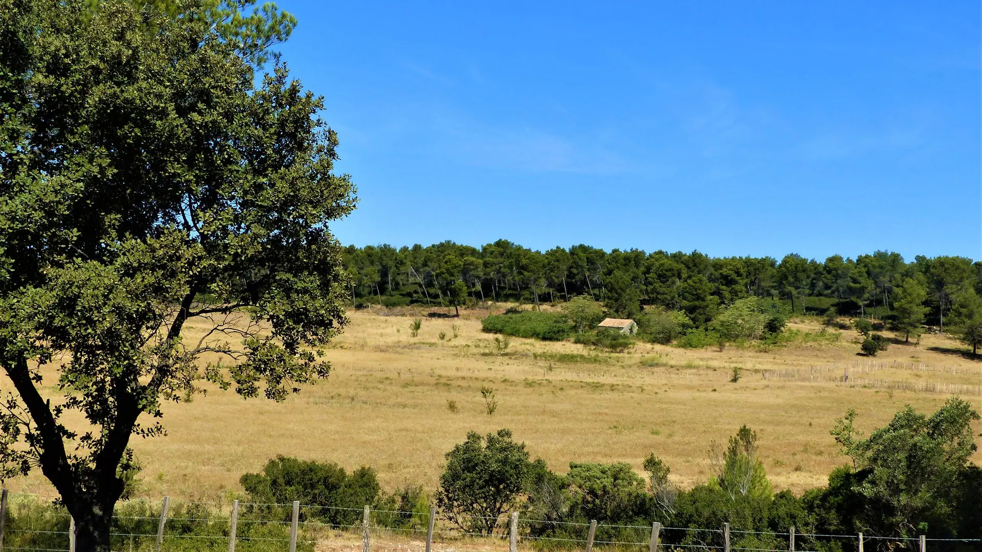 Paysage provençal aux abords du Sousteyran