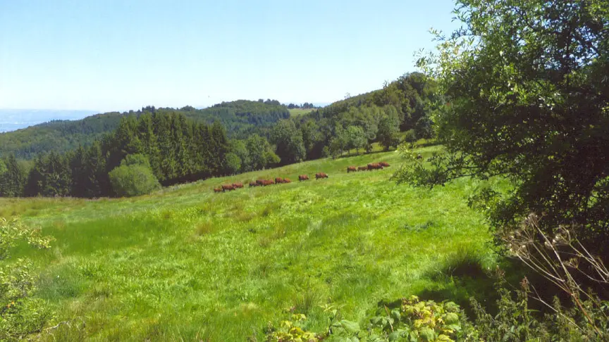 tout près du gîte.
