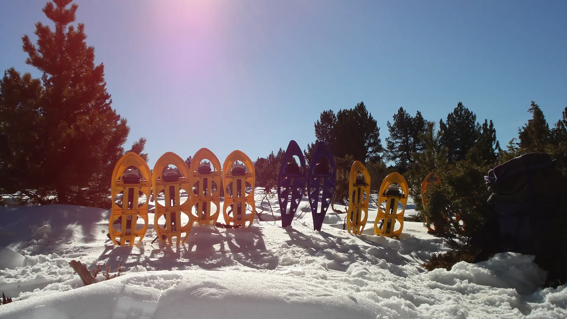 Raquettes plantées dans la neige