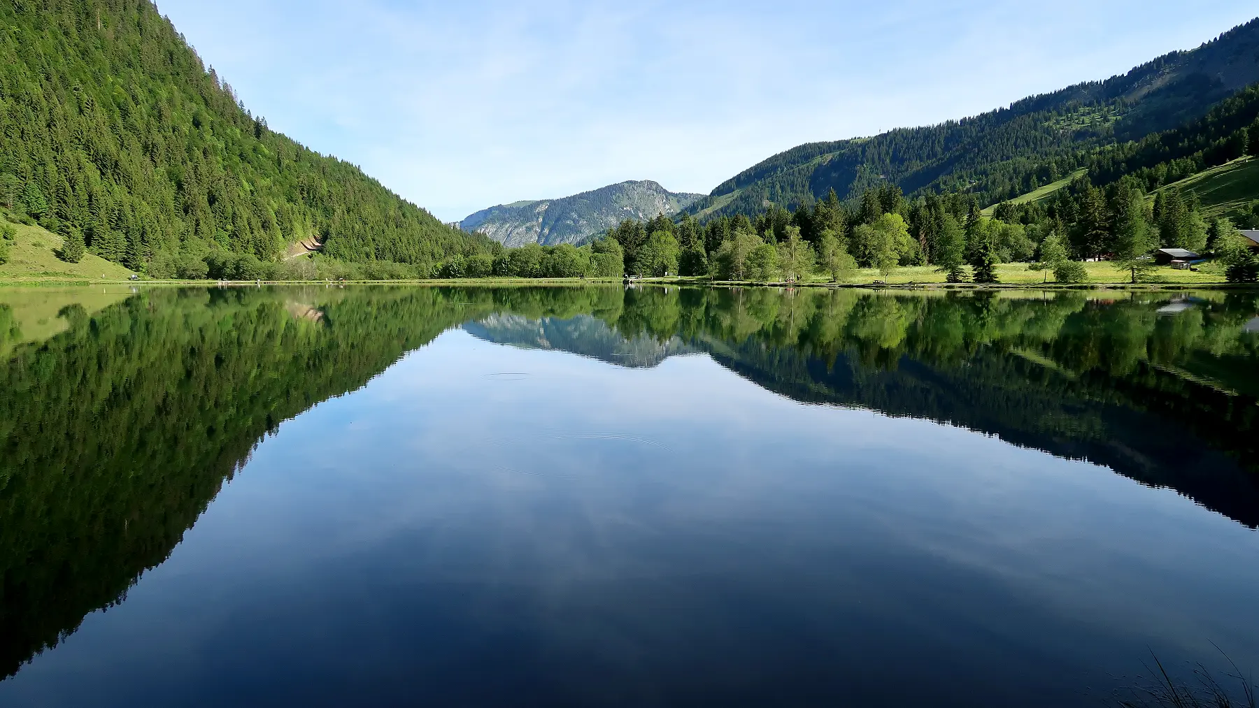 View from the end of the lake