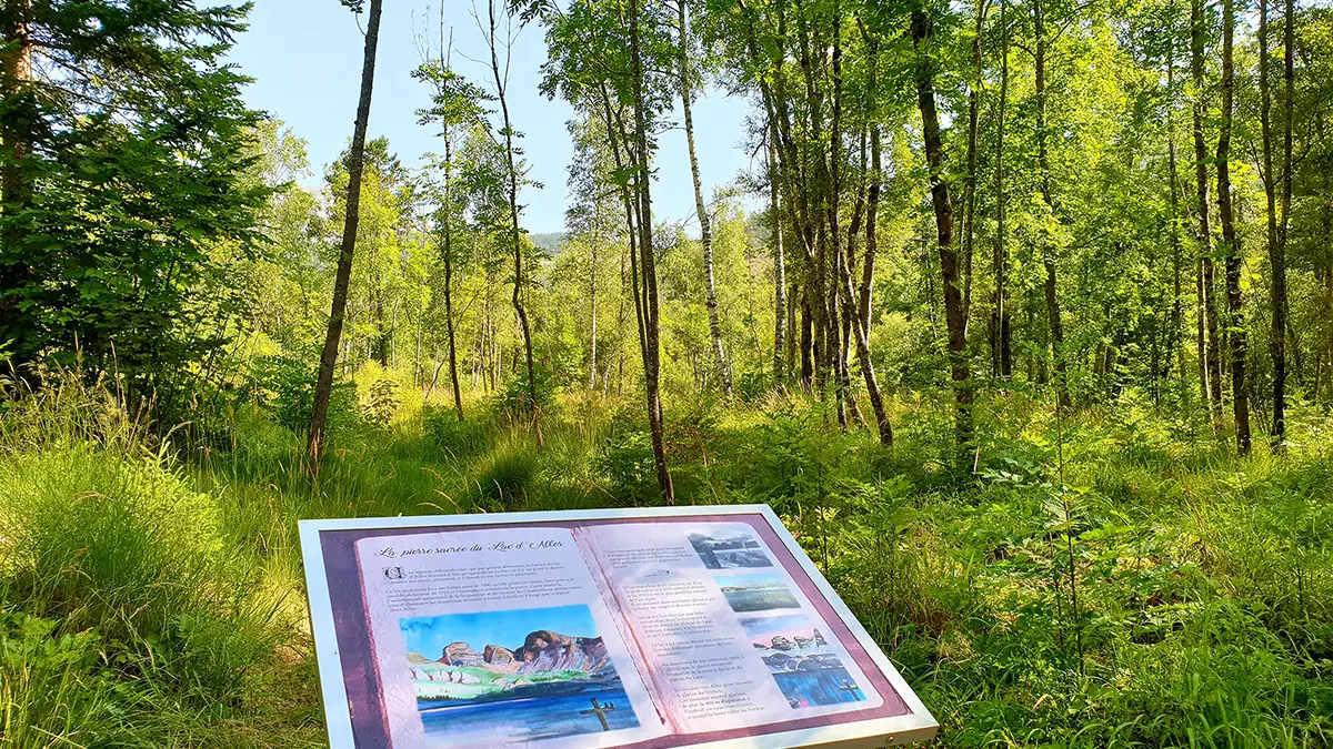 Un des panneaux du parcours de randonnée, inscription La Pierre Sacrée du Lac d'Allos, illustrations et descriptifs. Cadre forestier